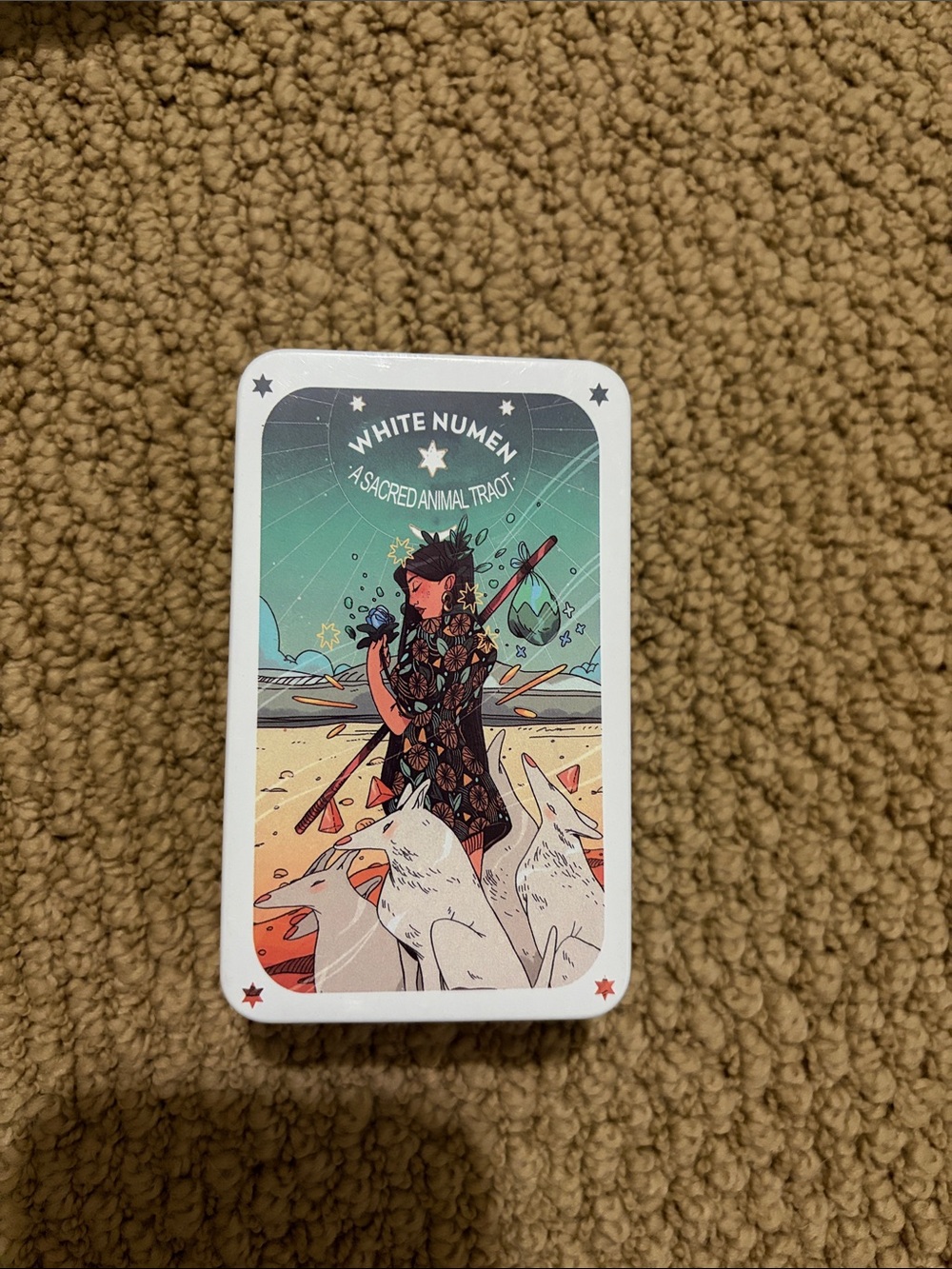 Tarot Deck — Green Illustration Tin